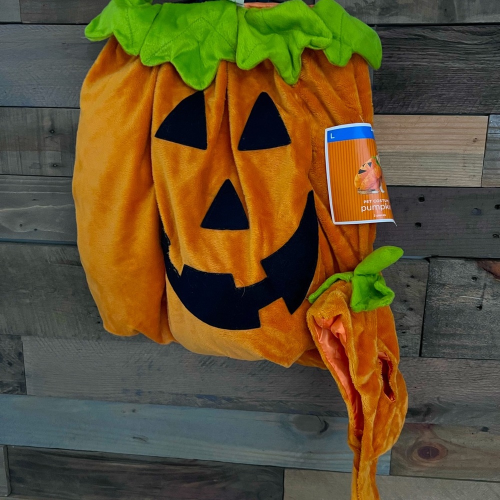 Pet Plush Pumpkin Costume 2 pc